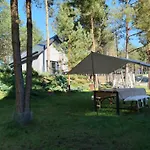 Wrzosowe Wzgórze - Azjatycki Klaczno