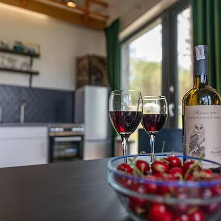 Wrzosowe Wzgorze - Azjatycki Holiday home Klaczno