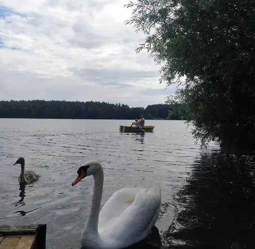 Wrzosowe Wzgorze - Azjatycki