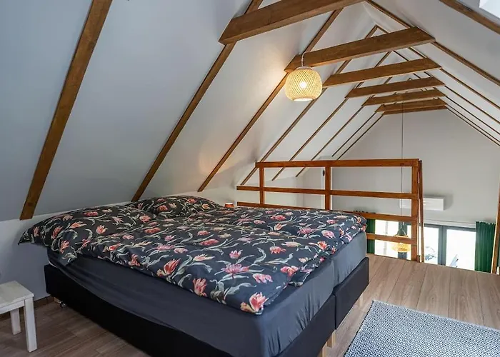 Wrzosowe Wzgorze - Azjatycki Klaczno