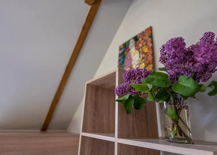 Wrzosowe Wzgorze - Azjatycki Klaczno